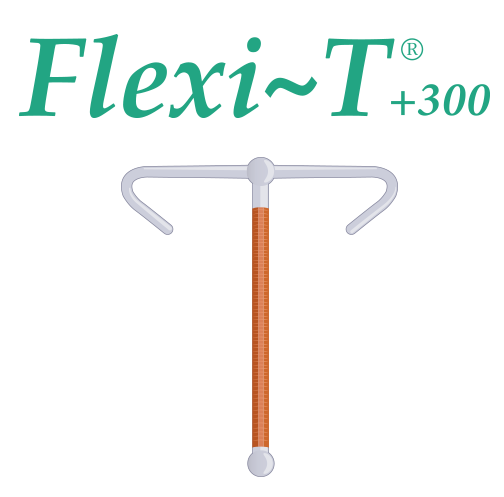 FlexiT+300